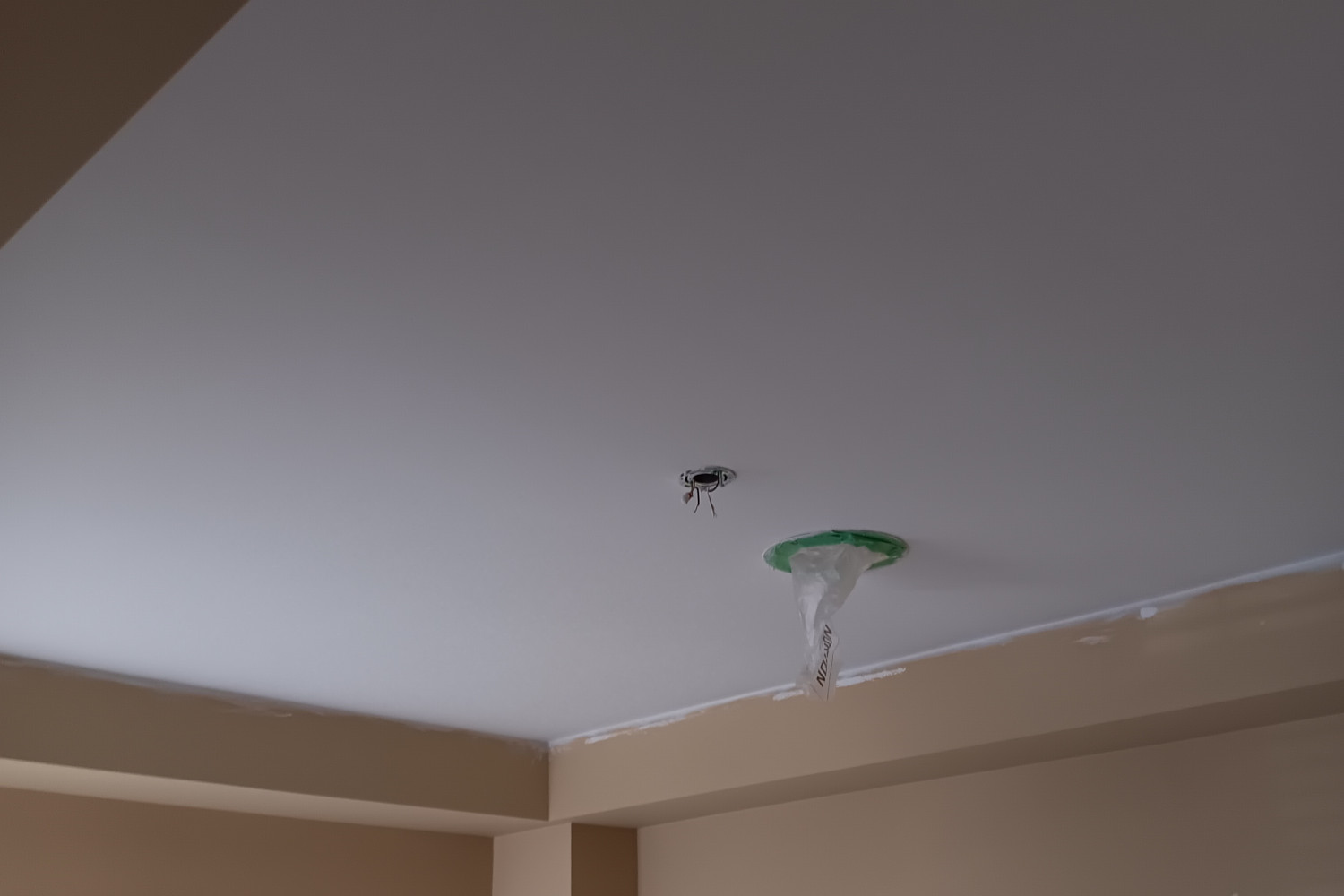 Popcorn Ceiling Removal